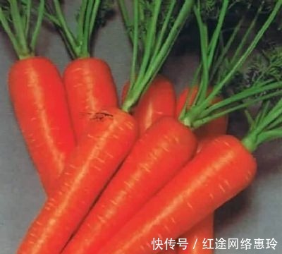 营养价值最高的十大蔬菜