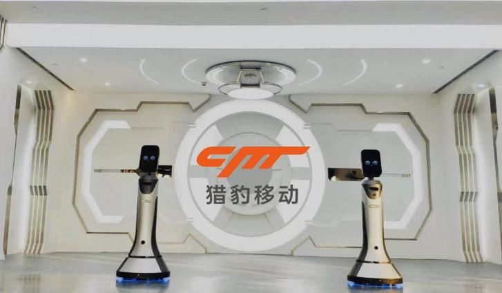 前路|前路颓靡后路不明,猎豹移动险象环生!