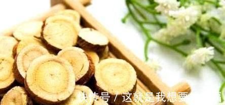 性寒|肝病最怕这种草,坚持泡水喝,肝毒净,肾也好,乳腺结节也会躲开