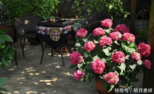 100㎡屋顶打造“花园露台”,网友直呼太壮观了,仿似人间仙境