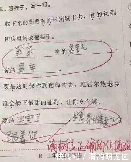 小学生“倒数第一”试卷成网红，老师无奈：这智商我教不了了