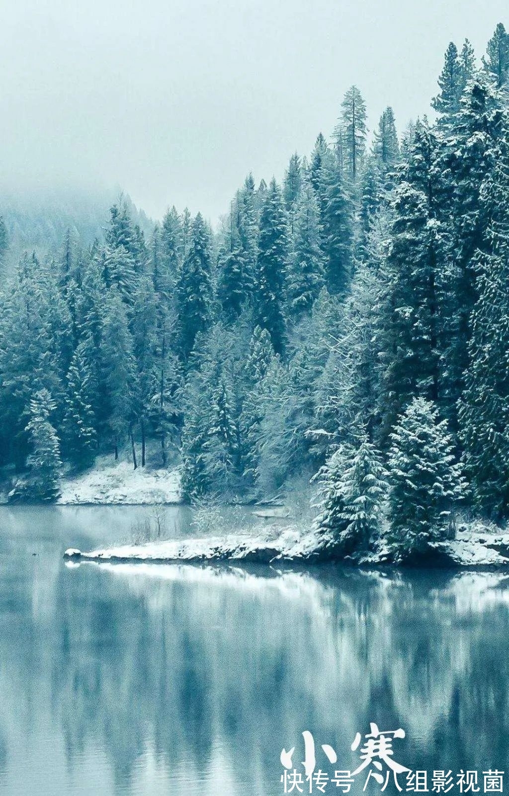 梅花饺!小寒时节,让我们一起走进诗词,感受属于“小寒”的那份韵味。