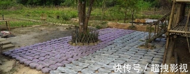 满铺|自己动手捯饬院子,塑料袋里灌水泥,铺满整个地面,比青石板结实