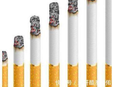 红蜘蛛|花盆里有虫子，有人竟然喷洗衣粉液，撒风油精，连蚊香也用上了