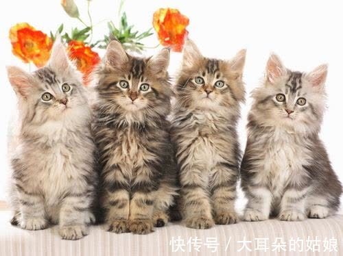 |幽默笑话:第一次领着女友回家,母亲有点不太满意我找外地媳妇