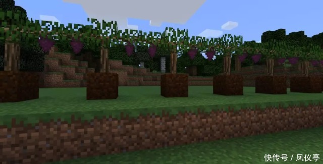 qt:gamepop|我的世界：这个村庄很奇妙，拥有橄榄和葡萄等新植物，你见过吗？