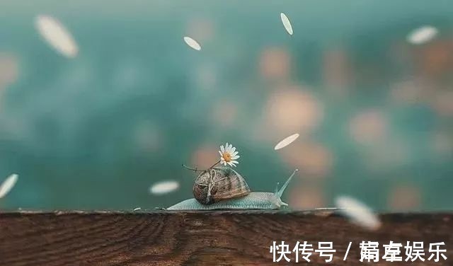 属于你&人间一切事,上天早注定:人再“争”,也争不过天