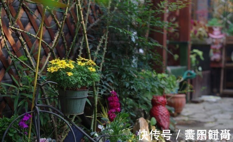 花园|荒废多年的80㎡小院,2年半时间打造成下沉式花园,太漂亮了!