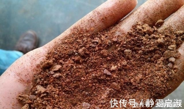 渔获|这东西专攻鲫鱼鲤鱼，开春钓鱼记得加一点，让你渔获轻松翻倍