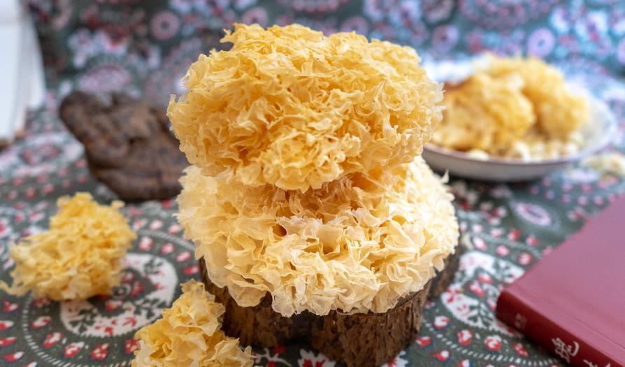 山药|立秋后,多给家人吃“5白”,补气润肺,身体不闹毛病