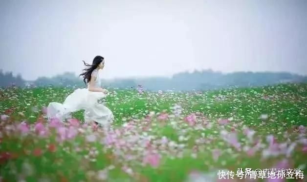 苇海|青草地文学：秋夜情歌