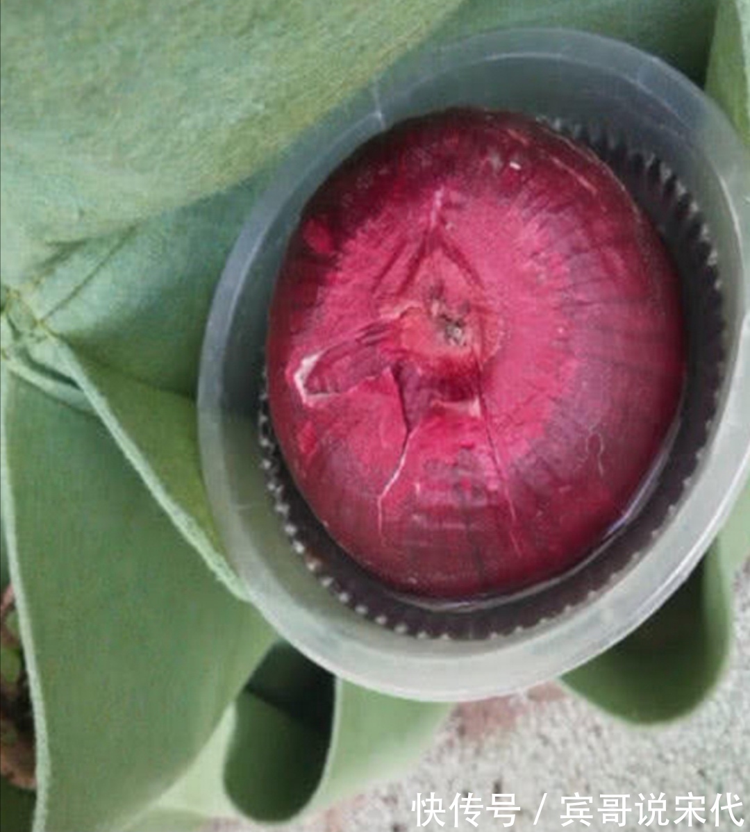 孩子们|幼儿园老师让带盆栽,最后一个小朋友你带的这是啥?