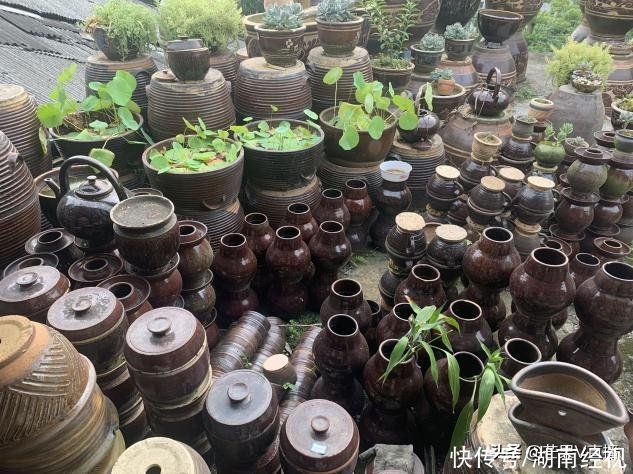 辰溪县|大学生暑期“三下乡”：设计溯源乡野 文化焕新出彩