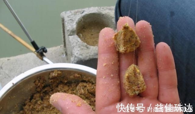 一般人|鲤鱼钓了三十年,至今才公开这饵料,一般人还真不晓得,莫泄露