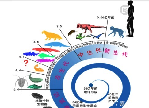 元古宙 考古发现远古人类起源的秘密，地球上的第一个“人”到底从何而来