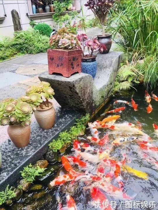 遇见,是一生!遇见多肉,是我的余生和全部!