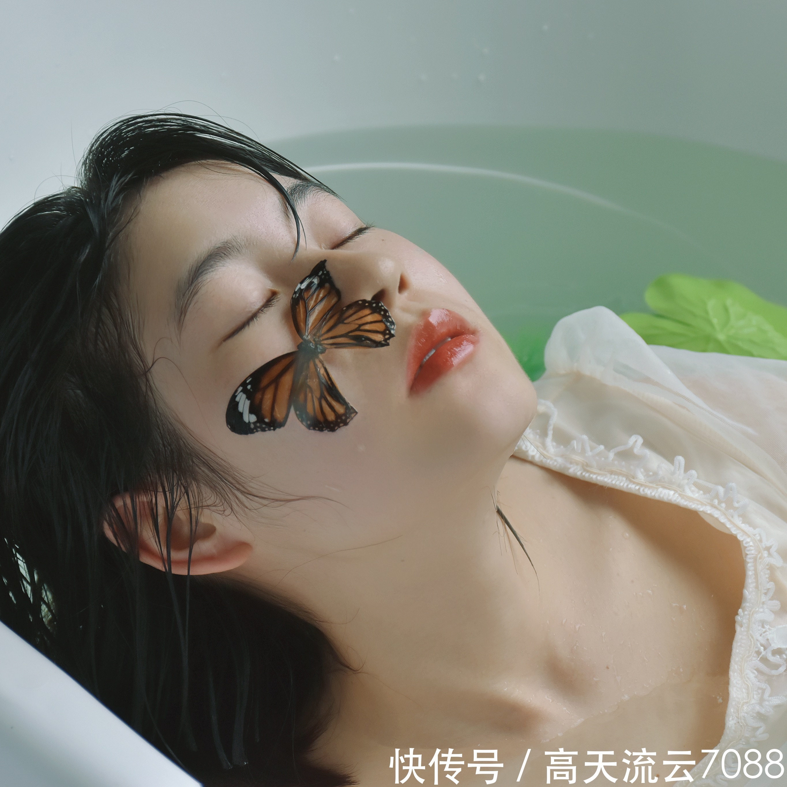 半世红尘@七绝《半世红尘醉梦谁》