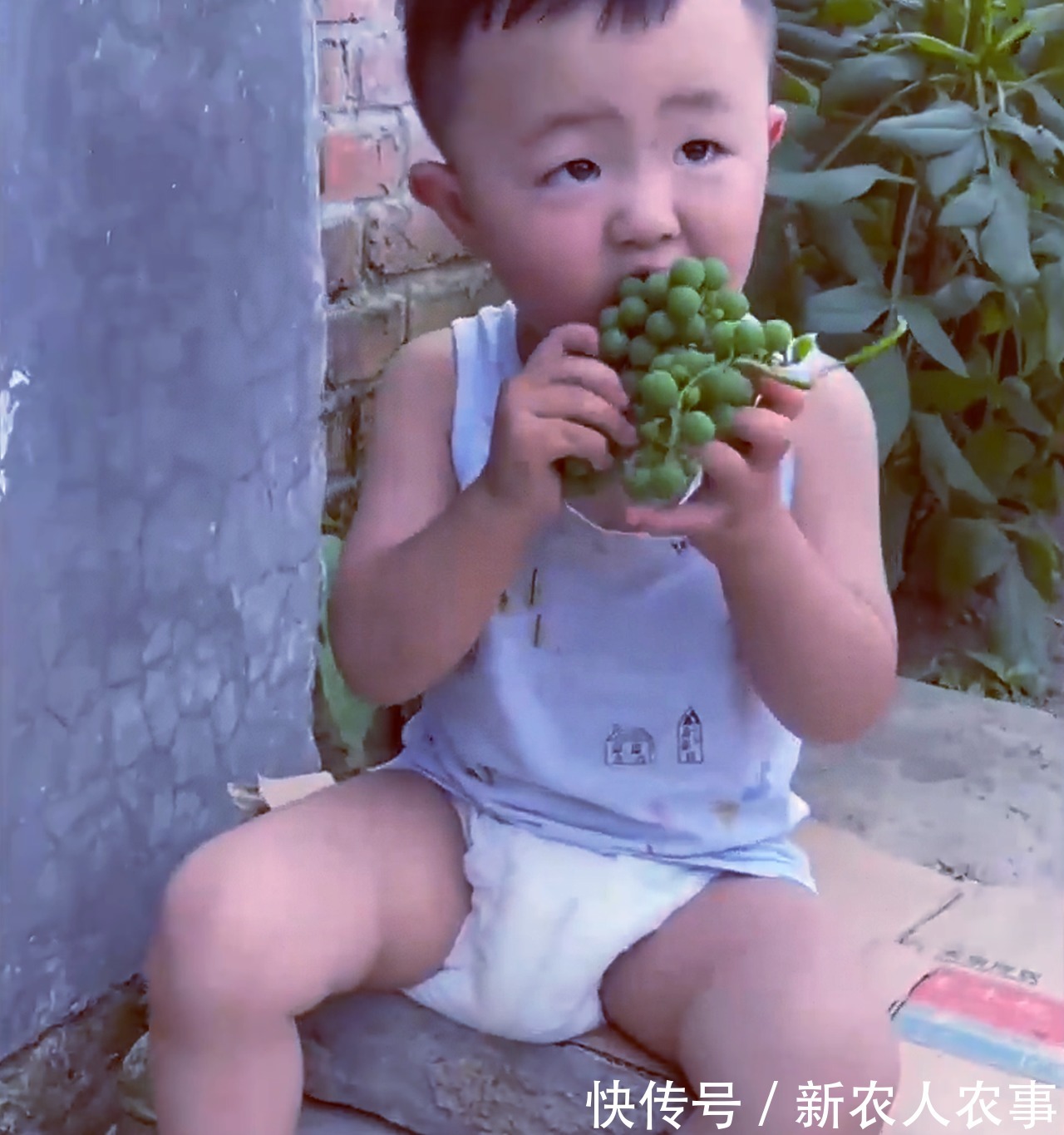 萌娃|萌娃回农村过暑假,彻底放飞自我成“鸭霸”,回到城里后却郁闷了