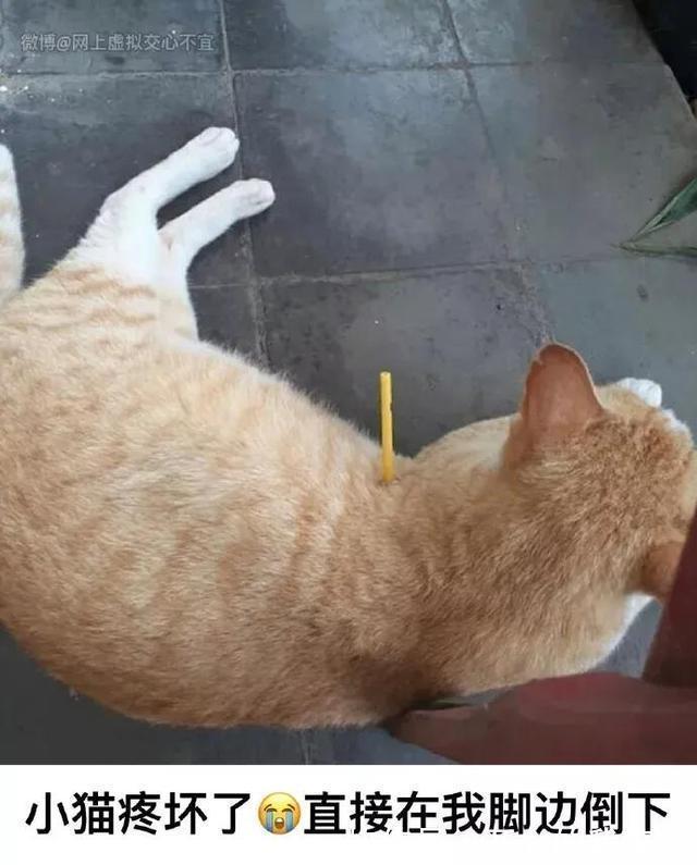 |今日笑话:妈妈要求很高啊