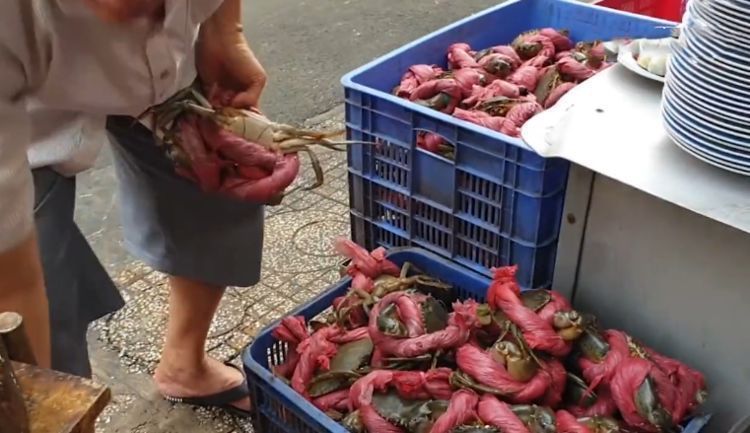 便宜|老爷爷沿街卖“红绳蟹”,15元一只,都怕被坑,切开后却尬住了