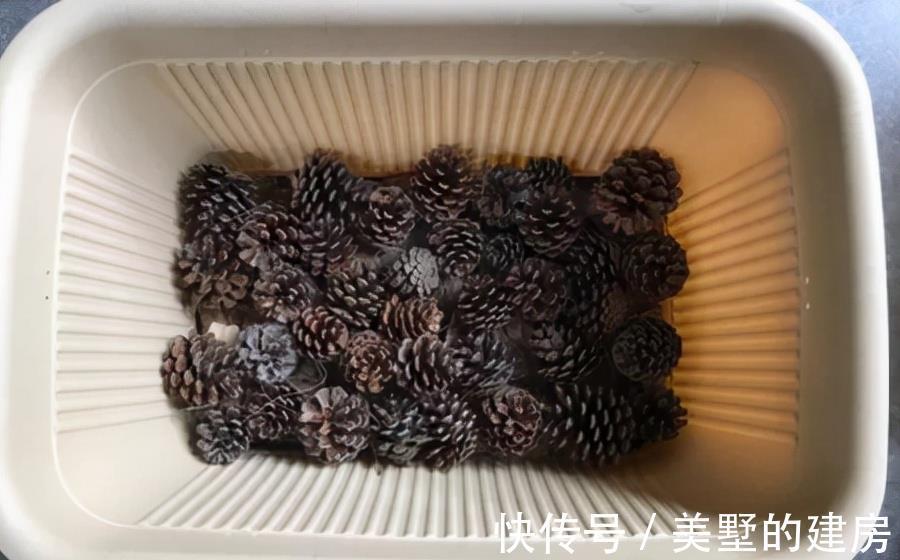 花盆|养花不花钱,花盆放4种“小垃圾”,不怕积水,不再烂根