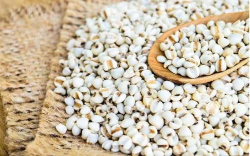 刷牙|体内有“湿气”太可怕,这个传统方法帮你轻松祛除体内湿气