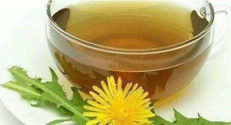 泡水|草药泡水,蒲公英首选,必须要注意三件事情哦
