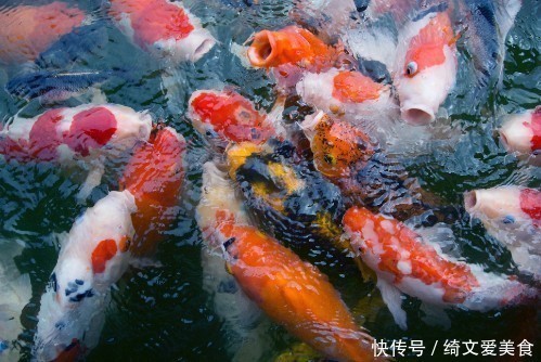 钓鱼有7大害处8个好处,到底是钓呢还是戒了呢