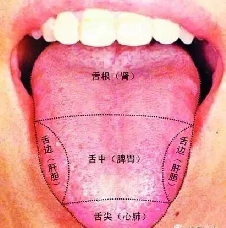 去火法|火在肝里失眠,火在胃里口臭,火在肺里咳嗽最简易的去火法分享给你