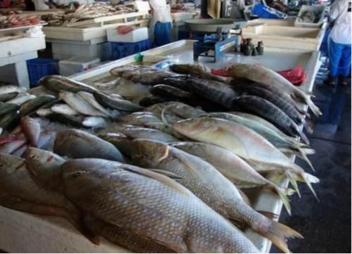 医生|夫妻俩查出肺癌,丈夫离世,妻子重症室,医生摇头:这种病,怎么敢一拖再拖