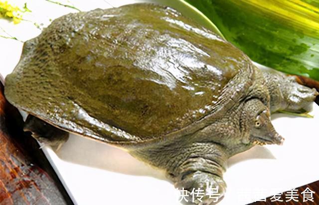 鸡肝这样处理一下,这几种鱼都排着队进窝