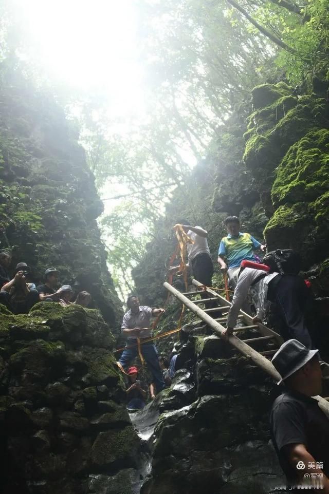 岩壁|探秘鬼斧神工的汉中“大屋基”地缝峡谷，秦巴深处的地质奇观