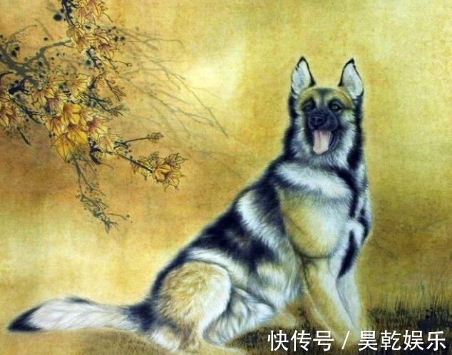 民间!“猪来穷,狗来富,猫儿来了开当铺”到底啥意思八成人理解错了