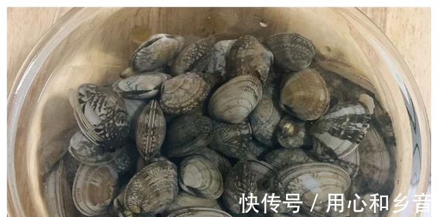 饭店|饭店大厨教你炒花甲,肉质肥嫩鲜美,好吃又好做,几分钟就能出锅!