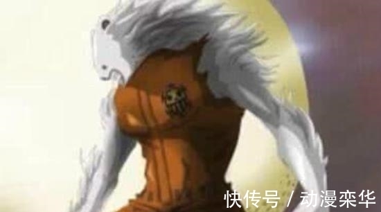 贝波|海贼王: 5只月亮狮子帅气, 佩德罗霸气, 加洛特高冷, 猫蝮蛇肥壮