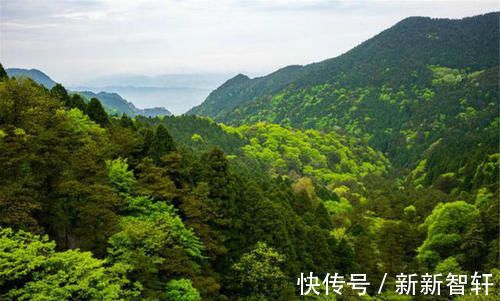 洒脱&陶渊明到了晚年大彻大悟,写下的这首抒情小诗,每一句都充满哲理