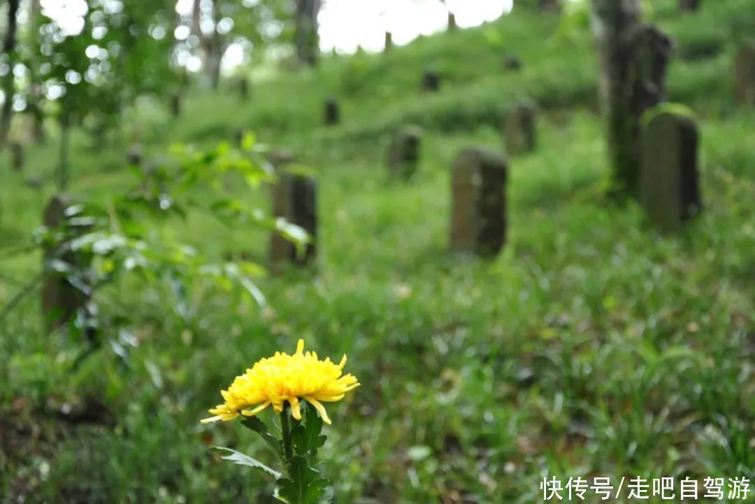 腾冲|徐霞客人生旅途的最后一站，是一座怎样美丽的边境小城？