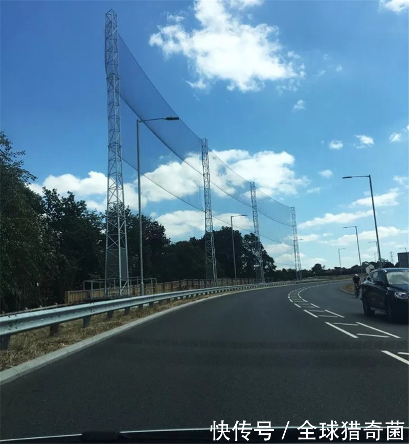 用人工|网络有多恐怖？不管问什么，万能的网友都能解答！