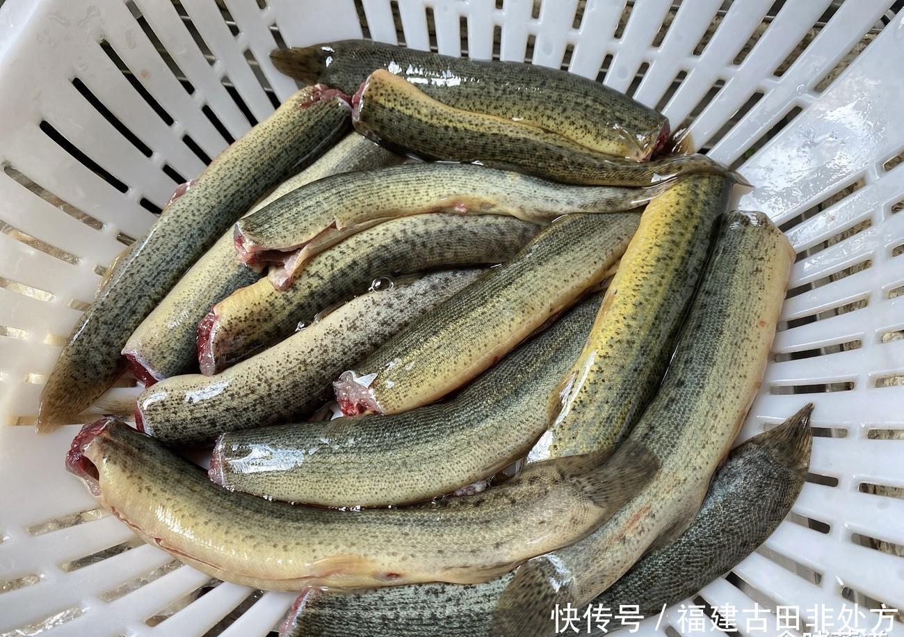 泥鳅要不要掏内脏?很多人搞不明白,为了家人的健康,不妨看一看