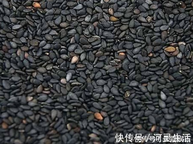桑葚干|这4物被称为“肾黄金”,男女都尽量多吃点,或助肾脏更健康