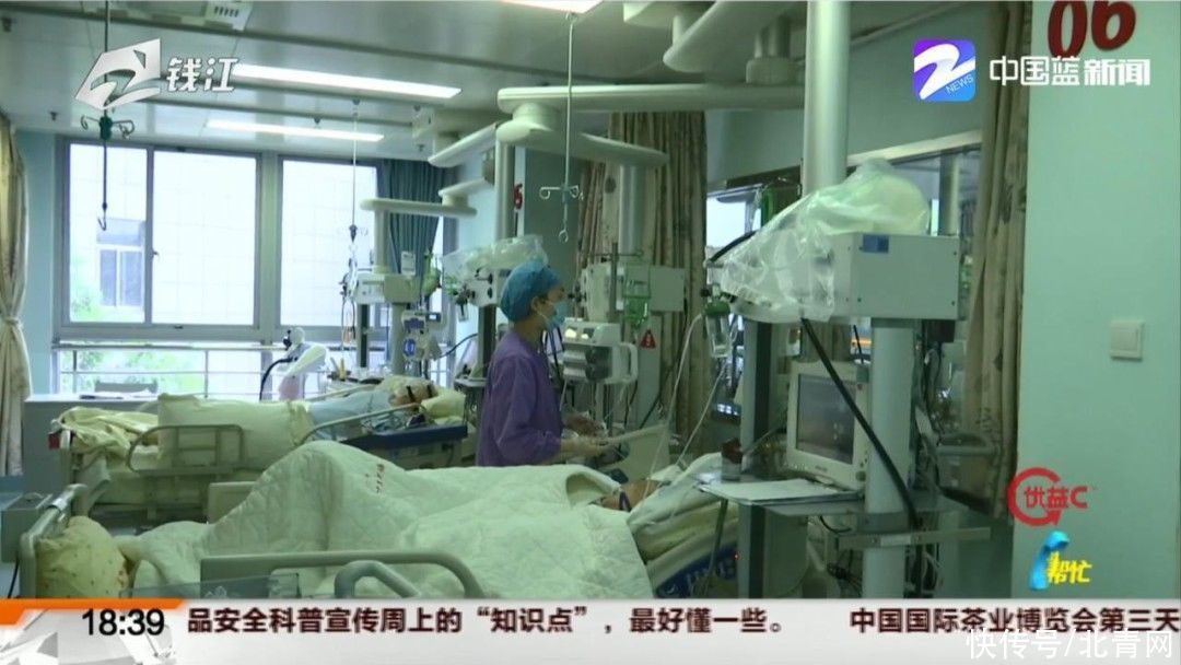 脓毒性休克|女子食用冰箱里的羊肉 引发脓毒性休克