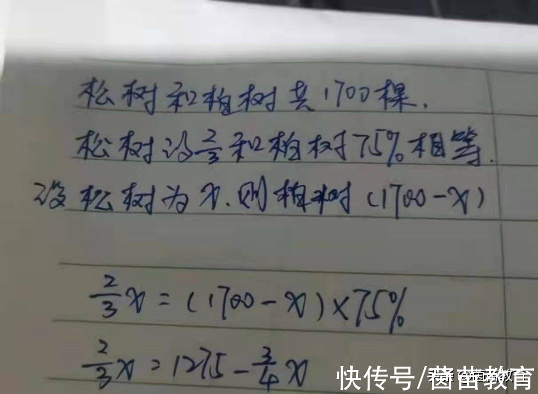 计算能力|寒假预习数学有方法，提高算力是关键