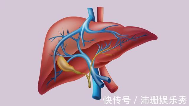 肝脏|大蒜是肝病的“发物”？医生告诫：若想肝好，4种素食还请管住嘴