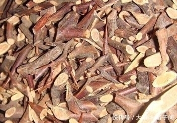 病所|铁钉一样的药物，药力极猛，通经活血散结，能治骨刺疼痛！