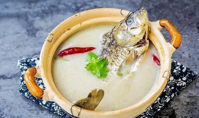 鲜美|买鲫鱼时，选大的还是小的？多数人没搞明白，难怪鱼汤不鲜不好吃