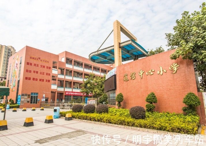 大宝|孩子到底要不要“晚上一年学”?看完这组科学实验,你就明白了