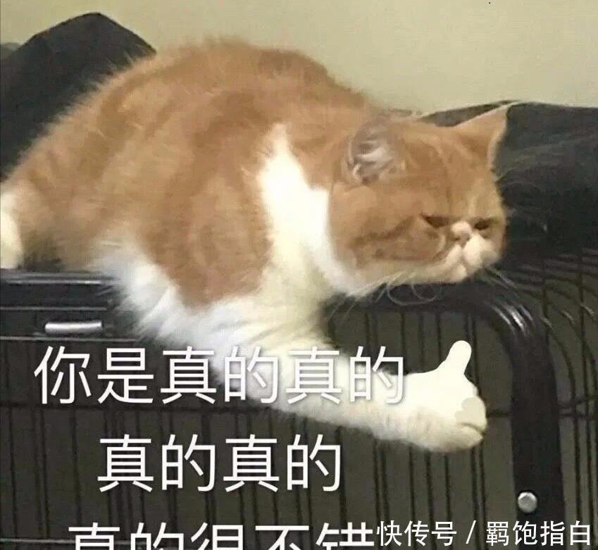 这些平价口红中的老网红,让人意难忘,第一支大牌都没它的色号?