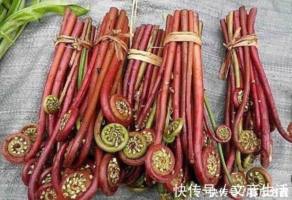 科学家们|被世卫列入致癌名单的蔬菜,再爱吃也要控制,没想到危害这么大