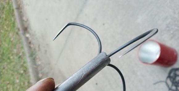 钓鱼|钓鱼成最大威胁罕见江猪成群现身,市民担忧:附近钓鱼的太多!