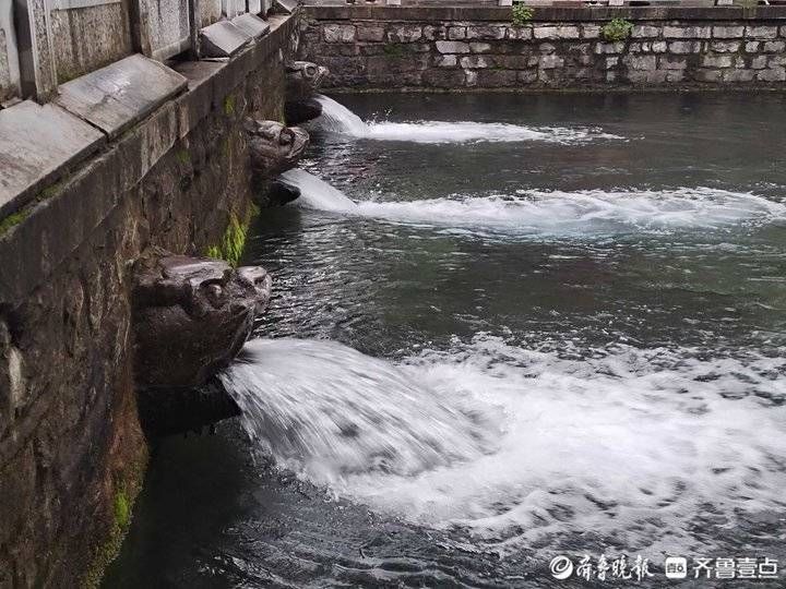 黑虎泉|水位29.06米五年最高！济南黑虎泉“怒吼”喷涌而出